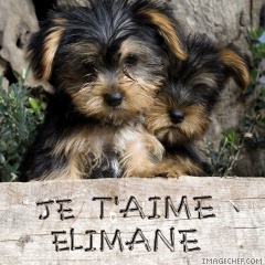 pour mon elimane